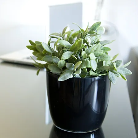 كوينتين البوتيكي فندق 4*