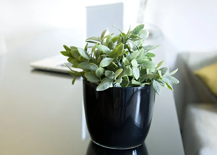 Quentin Boutique Hotel 4*